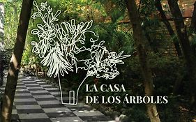 Hotel La Casa de los Árboles Immersive Experience